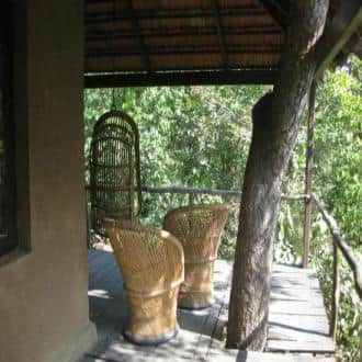 Mahua Vann Is A True Haven Of Tranquility, Chhindwara 2